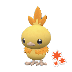 #255 Torchic (Marked)